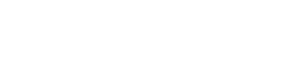 SEOlution